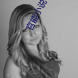 官能小(xiǎo)说