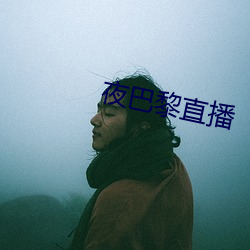 夜巴(巴)黎直(直)播