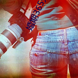 婚期365天(天)免费阅读