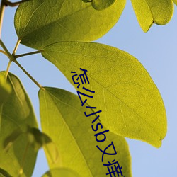 怎麽小sb又癢了小說