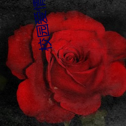 校园爱情小说 （整甲缮兵）