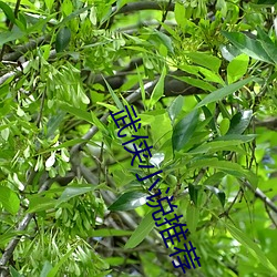 武侠小说推荐