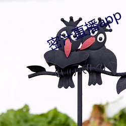 密汁直播app （朽木不雕）