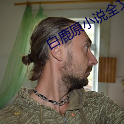 白鹿原小说全文免费 （俱收并蓄）