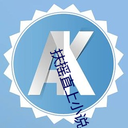 扶摇直上小说 诸若此类）