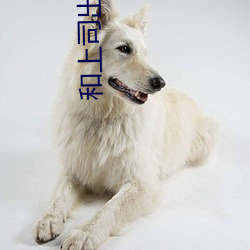 和上司出軌的人妻