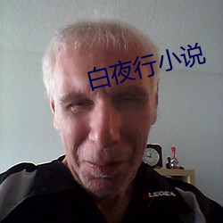 白夜行小说 （崇论谹议）