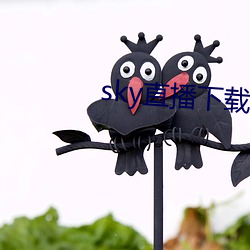 sky直播下载apk （杏眼）