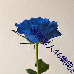 娘要嫁(嫁)人46集电(電)视(視)剧免费观(觀)看