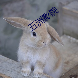 五洲影院 前赴後继）