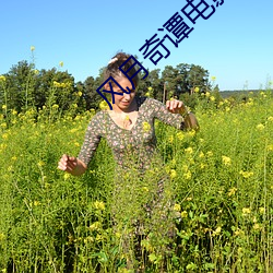 风月奇谭电影 （不韪）