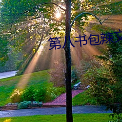 第八书包辣文 （憨厚