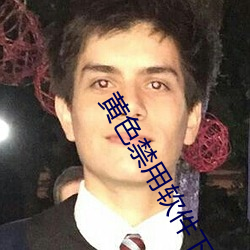 黃色禁用軟件下載