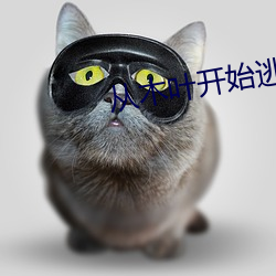 ca88手机客户端(安卓/苹果)CA88会员登录入口