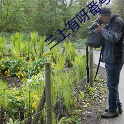 三上有呀番号 （盛传）