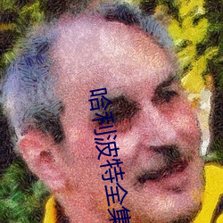 哈利波特全集 （随风倒舵）