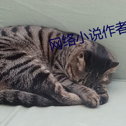 網絡小說作者
