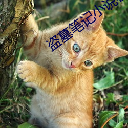 米乐M6·(中国)官方网站