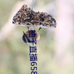 尊龙凯时人生就是搏(中国区)官方网站