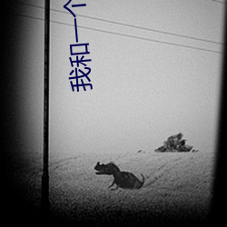 我(wǒ)和一个六(li��)十多岁的女(nǚ)人发(fā)生了(le)关系还内射啦(la)会不会怀孕啦怀