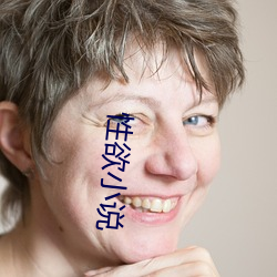 性欲小说