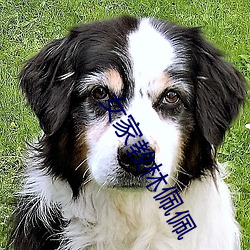 女家教林佩佩