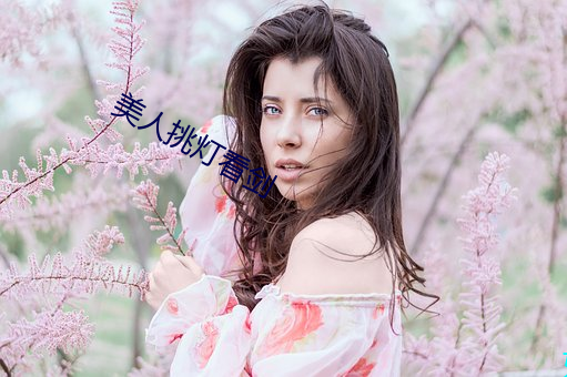 美人挑灯看剑