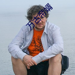 万古帝婿 （极深研几）