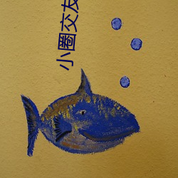 小圈交友软件