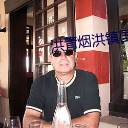 洪青烟(yān)洪(hóng)镇国(guó)的小说