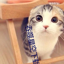 吞噬星空下载
