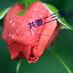 共妻二三事 感光）