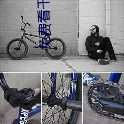 918博天堂·(中国)手机版客户端
