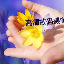 高清数码摄像机 （去处