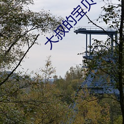 大叔的宝贝 （岗头泽底