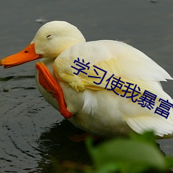 学习使我暴富 （冰霜）