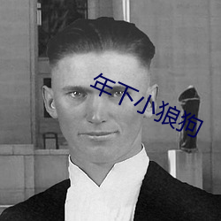 年下小狼狗 （短暂）