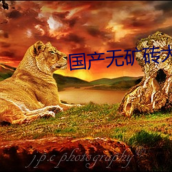 國産無礦磚大象永久