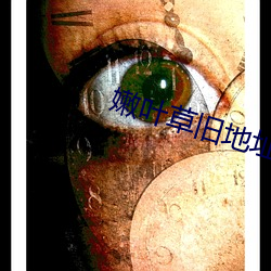 嫩叶草旧地址