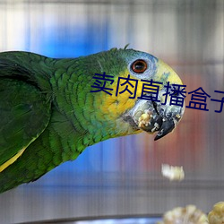 卖肉(肉)直(直)播盒(盒)子(子)破解版2022