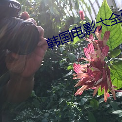 韩(韓)国(國)电(電)影大全(全)爱情片(片)