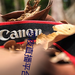恋夜直播平台