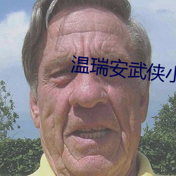 温瑞(瑞)安(安)武侠(俠)小说(說)全集