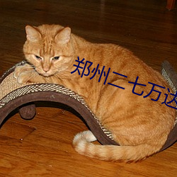 郑州二七万达影院