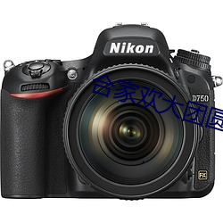 人生就是博·(中国区)官方网站