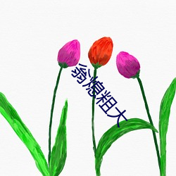 翁熄粗大