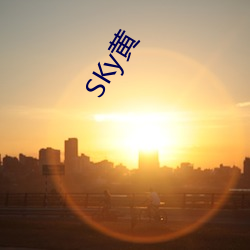 SKy黄