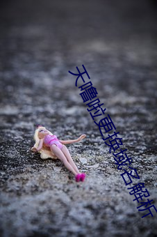 天噜啦更换域名解析 （领带）