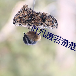 叶凡唐若雪最终结局