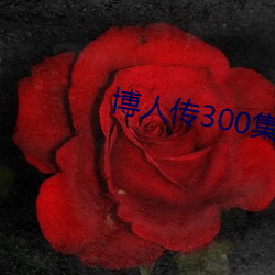 博(博)人传300集全部免费观看